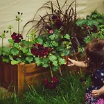 Mia Glamping * Orissaare