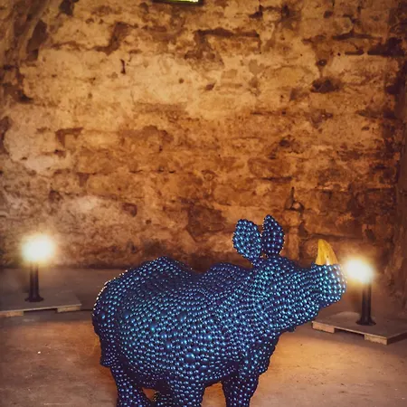 Mia Glamping Lüks kamp alanı