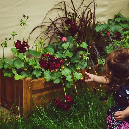 Mia Glamping * Orissaare