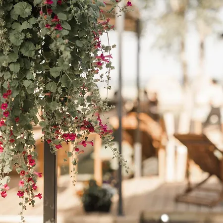 Resort Mia Glamping *